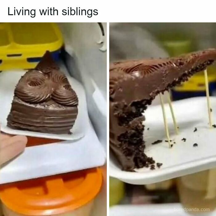 Chocolate cake slice with toothpicks holding up a piece living with siblings meme