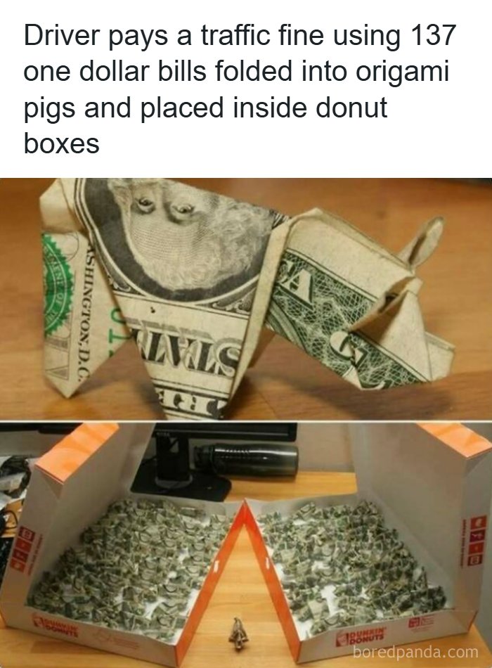 Origami pigs made from dollar bills used to pay traffic fine in donuts