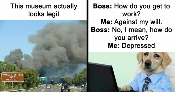 103 Random And Ridiculous Memes That Have No Business Being This Funny (New Pics)