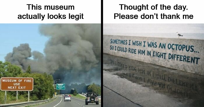 103 Random And Ridiculous Memes That Have No Business Being This Funny (New Pics)