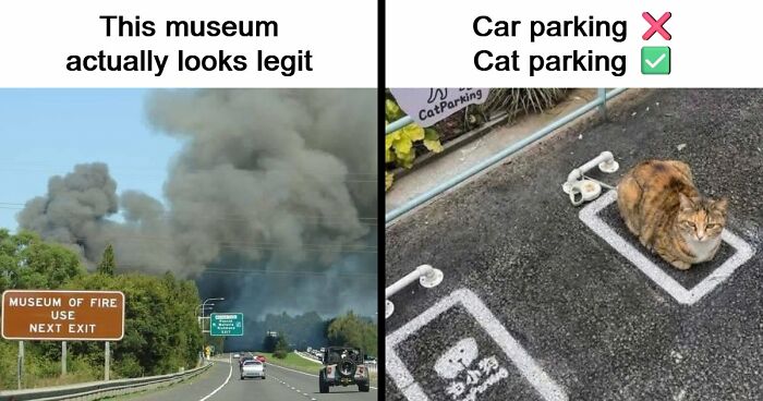 103 Random And Ridiculous Memes That Have No Business Being This Funny (New Pics)