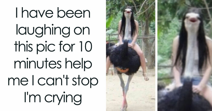 103 Random And Ridiculous Memes That Have No Business Being This Funny (New Pics)