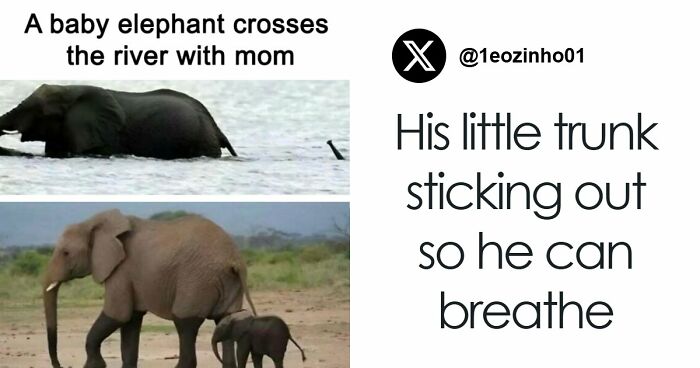 103 Random And Ridiculous Memes That Have No Business Being This Funny (New Pics)