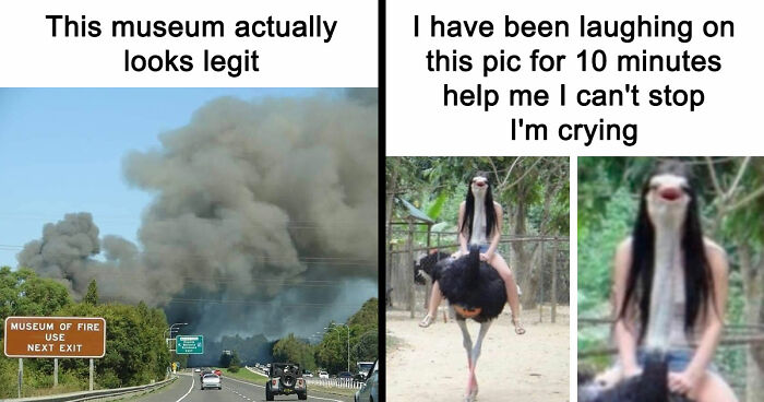 103 Random And Ridiculous Memes That Have No Business Being This Funny (New Pics)