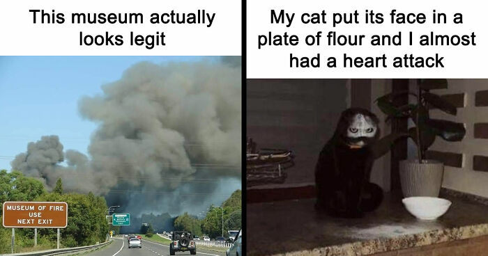 103 Random And Ridiculous Memes That Have No Business Being This Funny (New Pics)