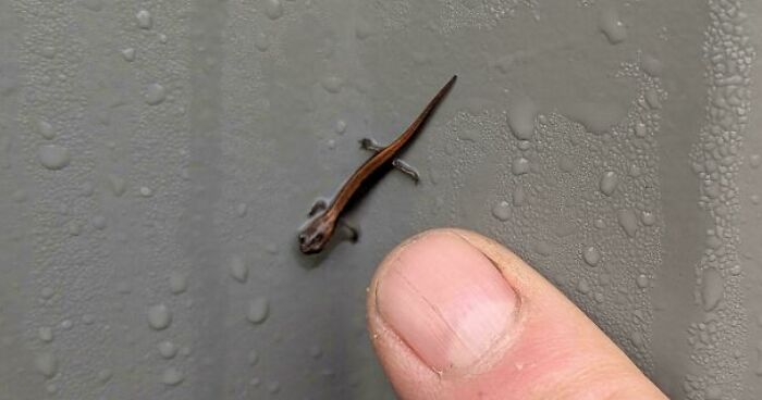 66 Of The Most Interesting And Weird Things People Found At Work