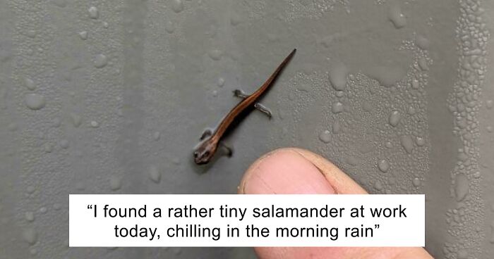 66 Of The Most Interesting And Weird Things People Found At Work