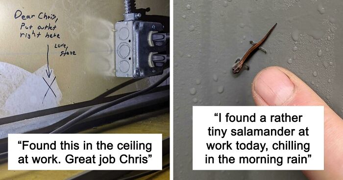 66 Of The Most Interesting And Weird Things People Found At Work