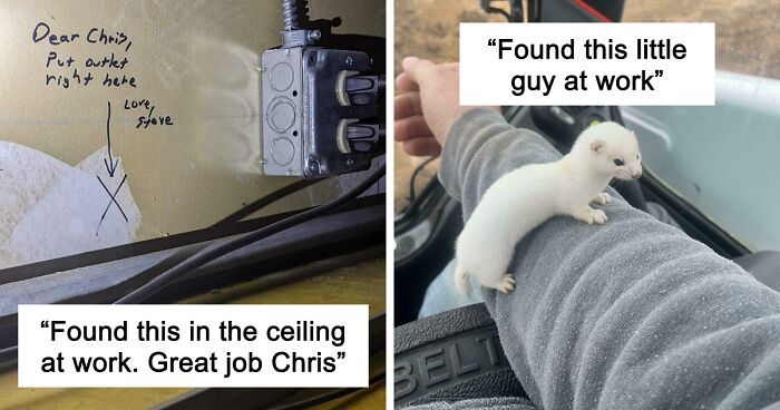 66 Of The Most Interesting And Weird Things People Found At Work
