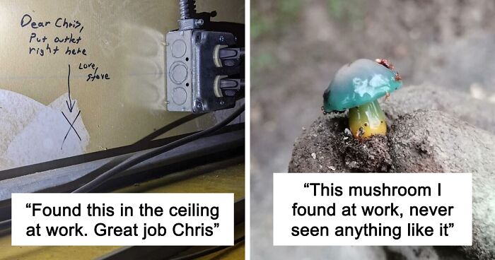 66 Of The Most Interesting And Weird Things People Found At Work