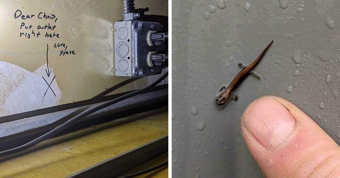 66 Of The Most Interesting And Weird Things People Found At Work