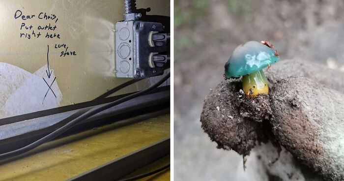 66 Of The Most Interesting And Weird Things People Found At Work