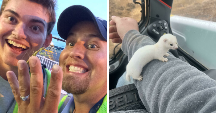 66 Of The Most Interesting And Weird Things People Found At Work