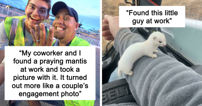 66 Of The Most Interesting And Weird Things People Found At Work