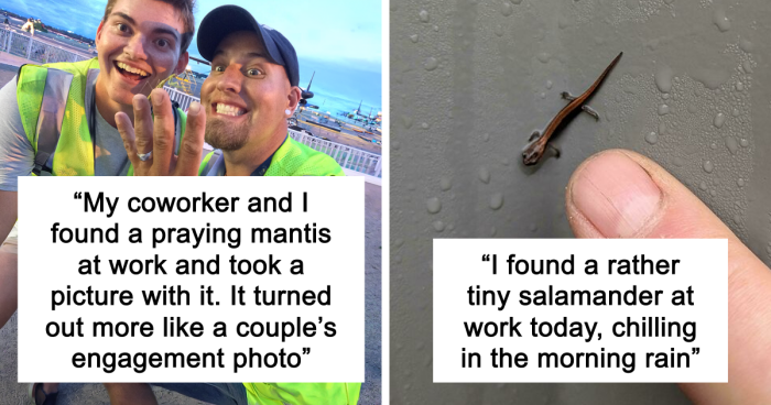 66 Of The Most Interesting And Weird Things People Found At Work