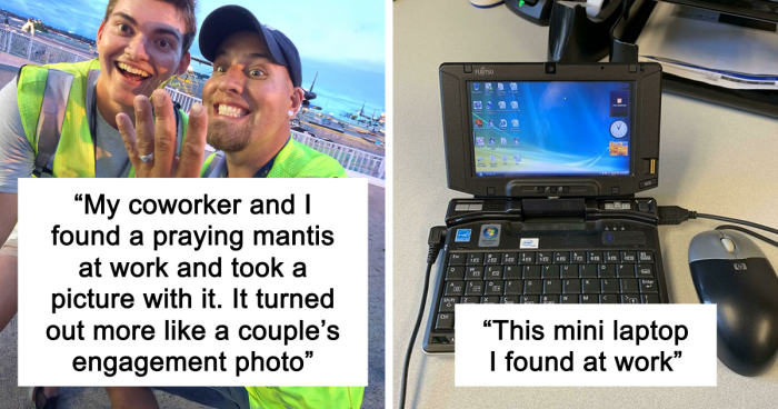 66 Workplace Finds So Random They Became The Highlight Of People’s Day