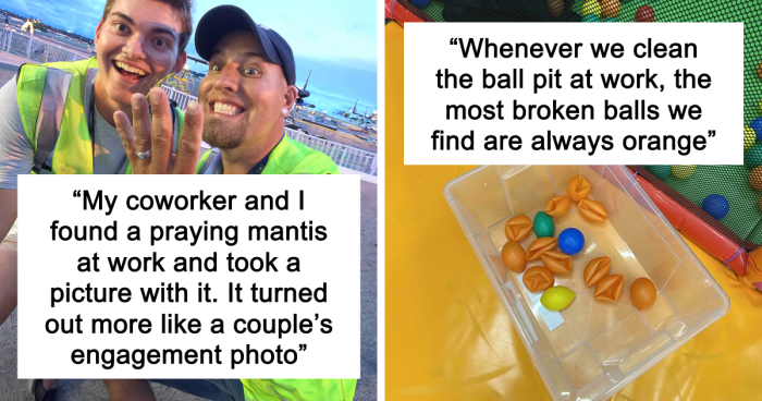 66 Of The Most Interesting And Weird Things People Found At Work