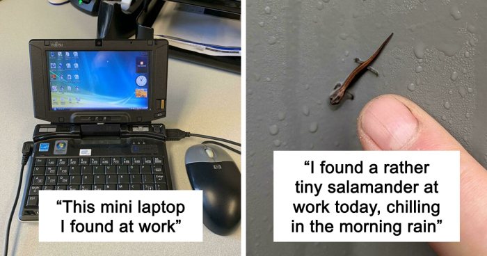 “Why Is This Here?”: 66 Things People Discovered Hidden In Plain Sight At Work