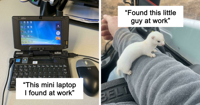 66 Workplace Finds So Random They Became The Highlight Of People’s Day