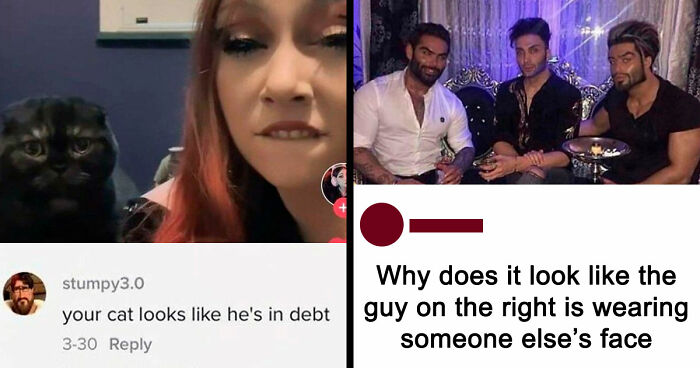 “Your Cat Looks Like He’s In Debt”: 63 Rare Insults That Should Get A Medal For Creativity