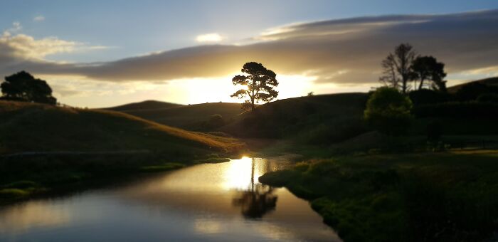 Sunset reflecting off river with tree silhouette in rare nature moment