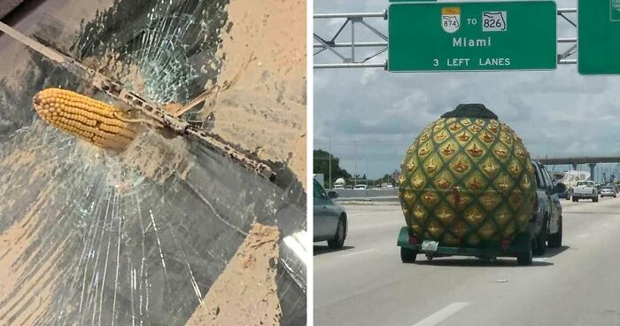 57 Pics And Stories That Show Mother Nature Being Terrifying As Hell