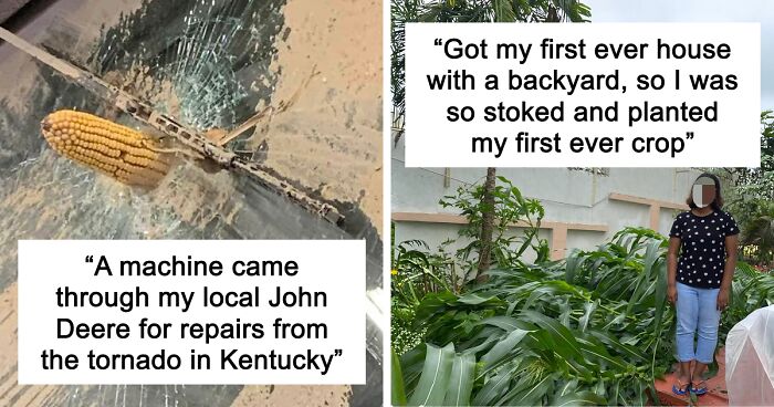 57 Pics And Stories That Show Mother Nature Being Terrifying As Hell