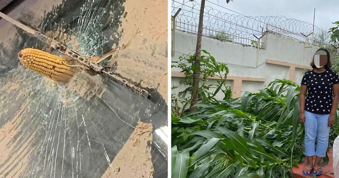 57 Pics And Stories That Show Mother Nature Being Terrifying As Hell
