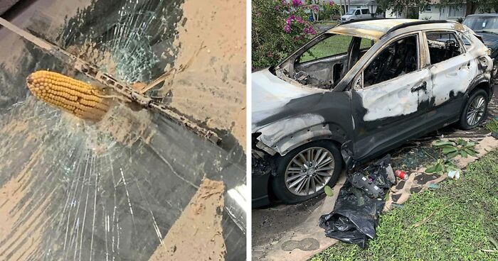 57 Pics And Stories That Show Mother Nature Being Terrifying As Hell