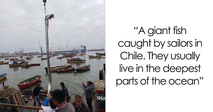 57 Pics And Stories That Show Mother Nature Being Terrifying As Hell