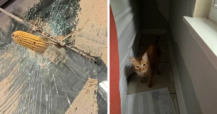 57 Pics And Stories That Show Mother Nature Being Terrifying As Hell