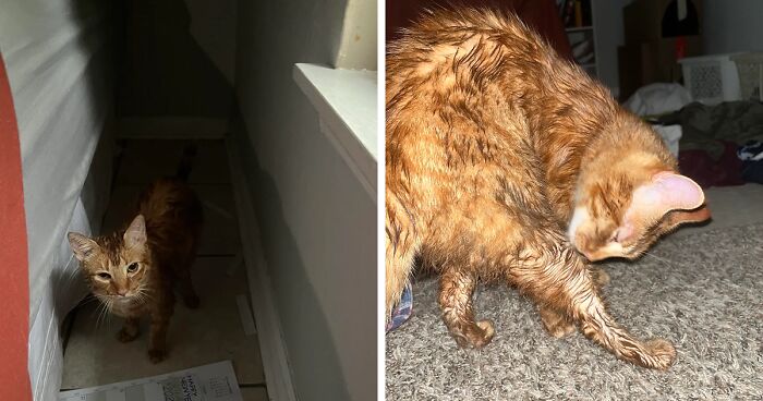 57 Pics And Stories That Show Mother Nature Being Terrifying As Hell