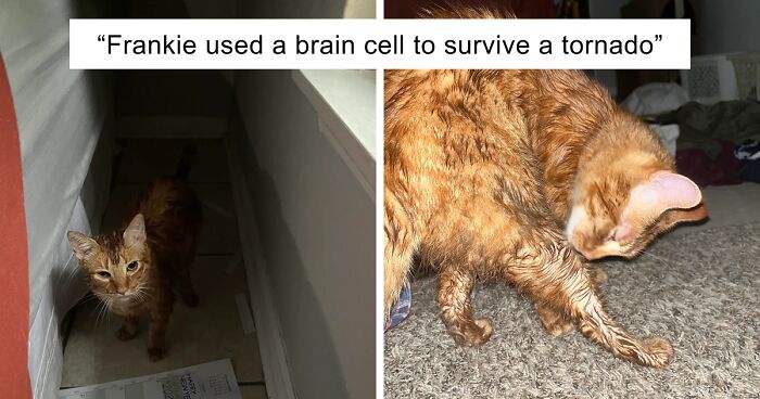 57 Pics And Stories That Show Mother Nature Being Terrifying As Hell