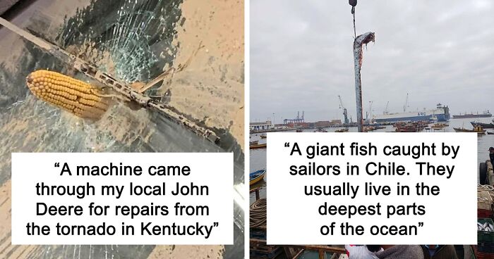57 Pics And Stories That Show Mother Nature Being Terrifying As Hell