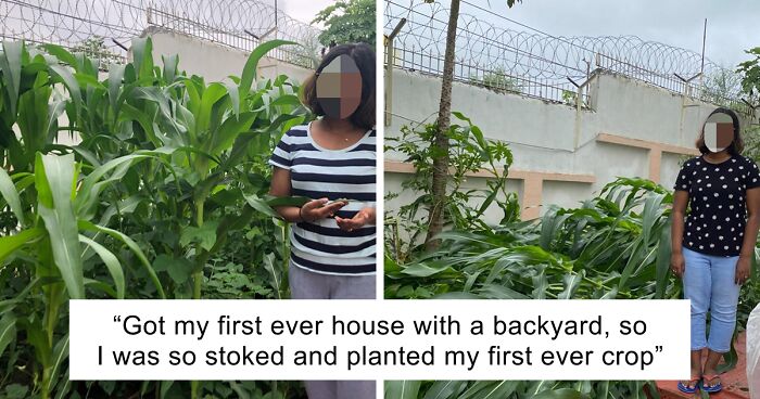 57 Pics And Stories That Show Mother Nature Being Terrifying As Hell