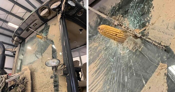 57 Pics And Stories That Show Mother Nature Being Terrifying As Hell