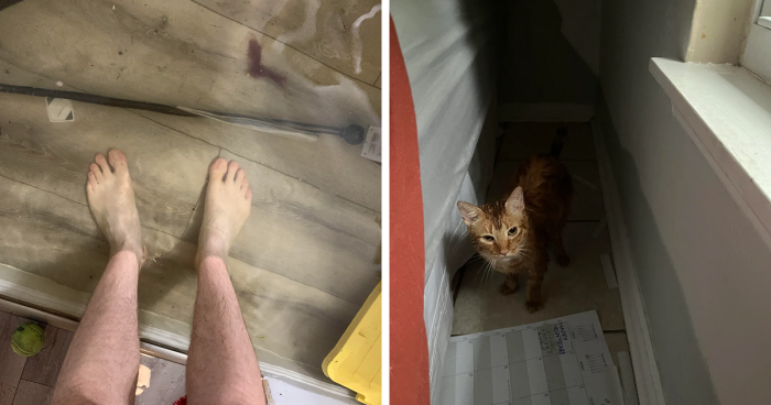 57 Pics And Stories That Show Mother Nature Being Terrifying As Hell