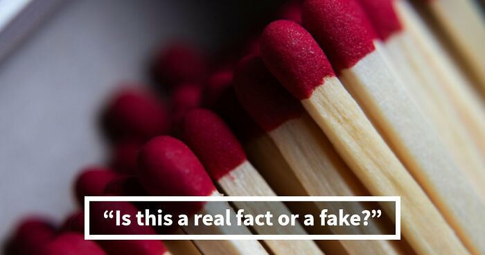 “Are You Smarter Than Average?”: Prove It With 20 ‘Real Or Fake’ General Knowledge Questions