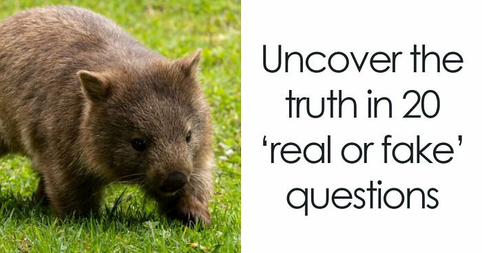 “Are You Smarter Than Average?”: Prove It With 20 ‘Real Or Fake’ General Knowledge Questions