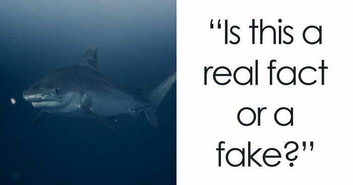 “Are You Smarter Than Average?”: Prove It With 20 ‘Real Or Fake’ General Knowledge Questions
