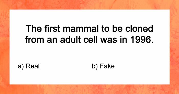 “Are You Smarter Than Average?”: Prove It With 20 ‘Real Or Fake’ General Knowledge Questions