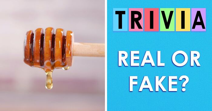 “Are You Smarter Than Average?”: Prove It With 20 ‘Real Or Fake’ General Knowledge Questions