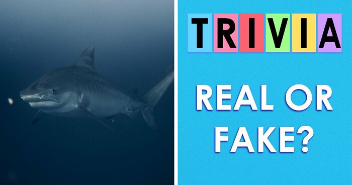 “Are You Smarter Than Average?”: Prove It With 20 ‘Real Or Fake’ General Knowledge Questions