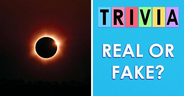 “Are You Smarter Than Average?”: Prove It With 20 ‘Real Or Fake’ General Knowledge Questions