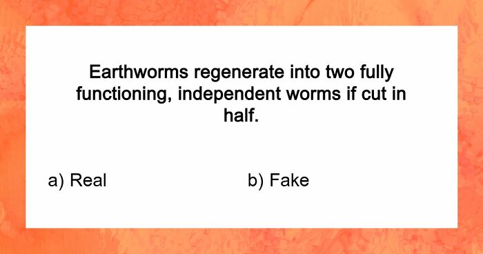“Are You Smarter Than Average?”: Prove It With 20 ‘Real Or Fake’ General Knowledge Questions