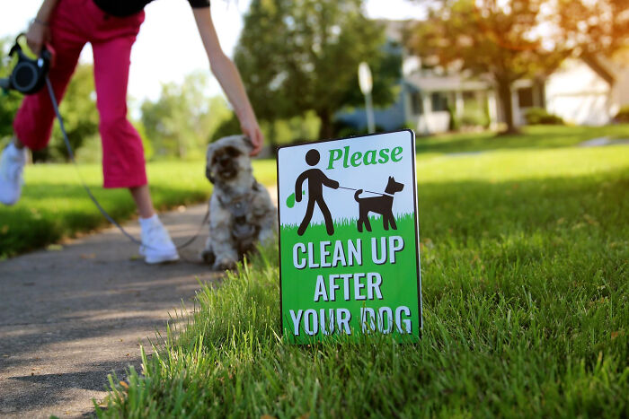 A person with a dog by a Clean Up After Your Dog sign. Reveals tiny red flags about dog owners.
