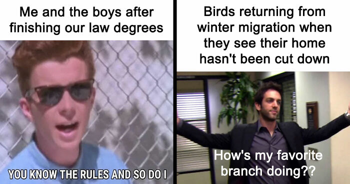 60 Anti-Memes That Skip The Punchline Yet End Up Surprisingly Funny