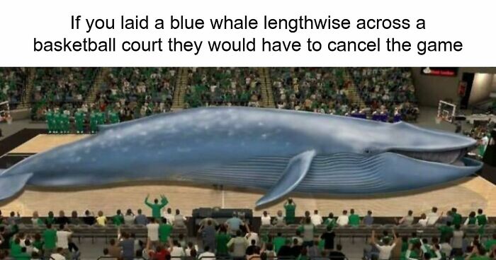 60 Anti-Memes That Skip The Punchline Yet End Up Surprisingly Funny