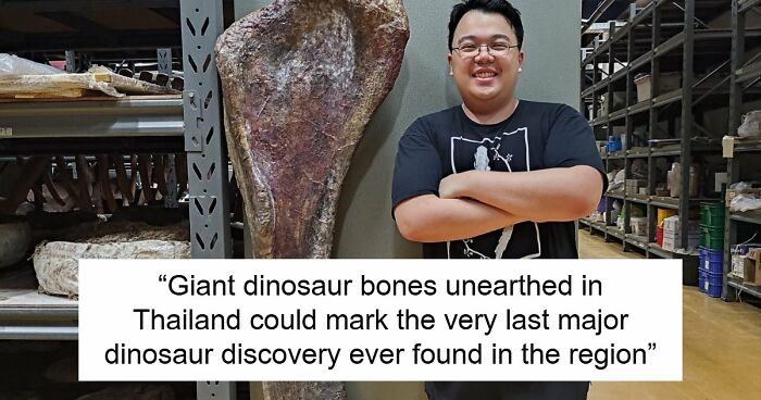Giant Dinosaur Skeleton Found In Thailand, The Nagatitan, May Be The Largest Dinosaur Of The Region