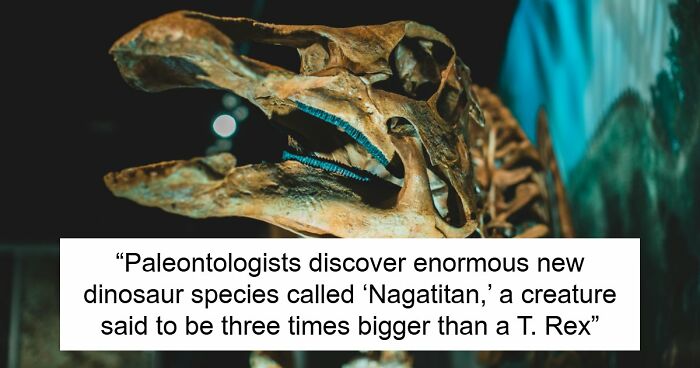Giant Dinosaur Skeleton Found In Thailand, The Nagatitan, May Be The Largest Dinosaur Of The Region